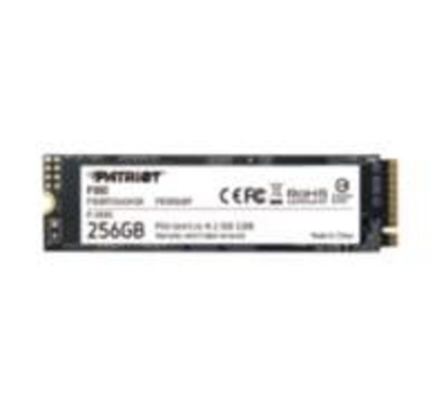 P300 | 256GB NVMe SSD | M.2 Gen3 | 1.700MB/s Lezen | 1.100MB/s Schrijven
