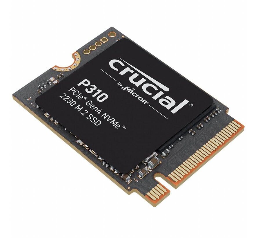 P310 | 1TB NVMe SSD | M.2 30mm | Gen4 | 7.100MB/s Lezen | 6.000MB/s Schrijven