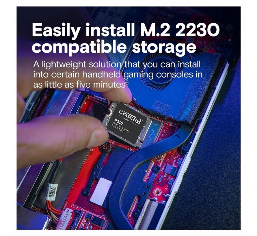 P310 | 1TB NVMe SSD | M.2 30mm | Gen4 | 7.100MB/s Lezen | 6.000MB/s Schrijven