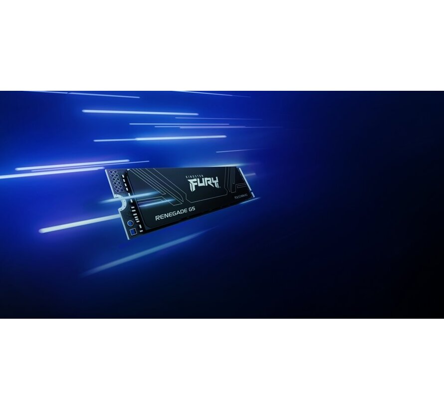 Fury Renegade G5 | 1TB NVMe SSD | M.2 | Gen5 | 14.200MB/s Lezen | 11.000MB/s Schrijven