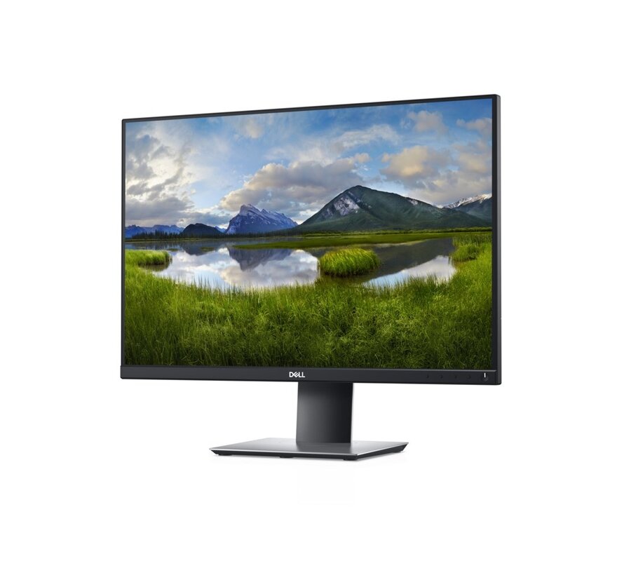 DELL P2421 24.1" | 1920 x 1200 IPS | 60Hz | Monitor