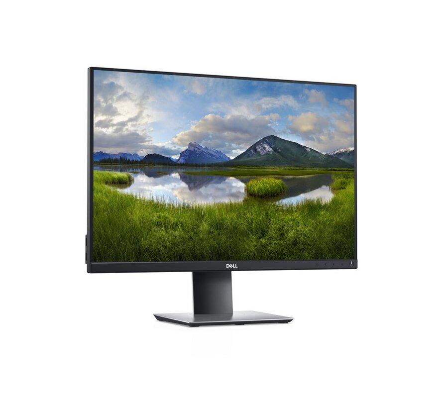 DELL P2421 24.1" | 1920 x 1200 IPS | 60Hz | Monitor