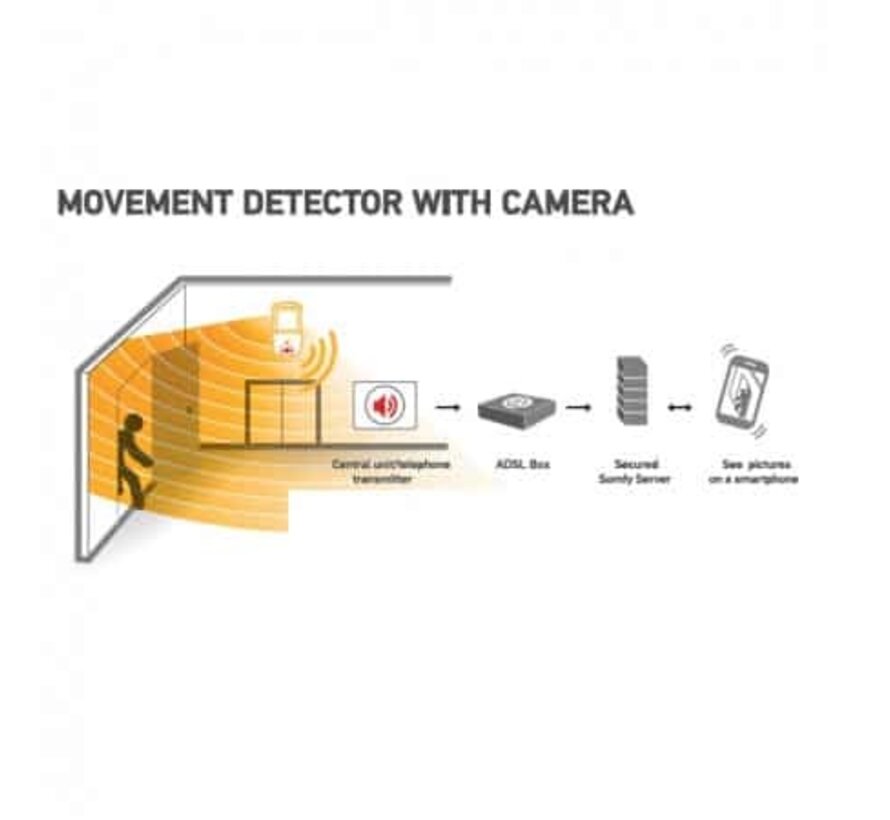 Somfy Bewegingssensor – Detectie met Fotoregistratie