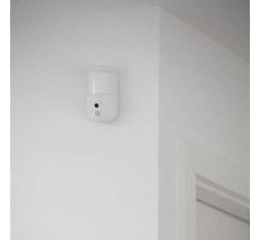 Somfy Bewegingssensor – Detectie met Fotoregistratie