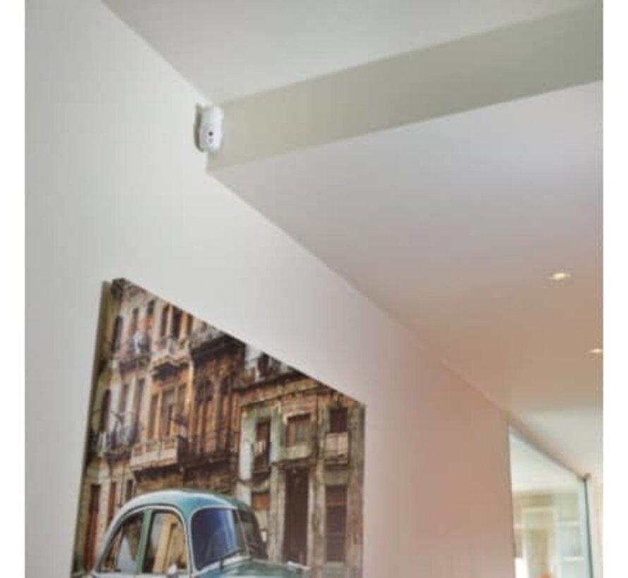 Somfy Bewegingssensor – Detectie met Fotoregistratie