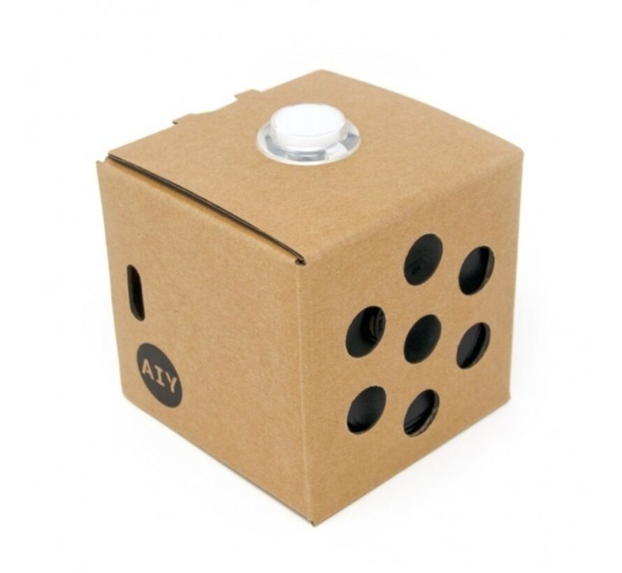 Google AIY Voice Kit V2 – Bouw je Eigen Stemassistent
