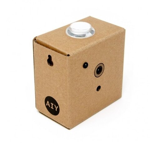 Google AIY Vision Kit V2 – DIY Visie- en Beeldherkenningsproject