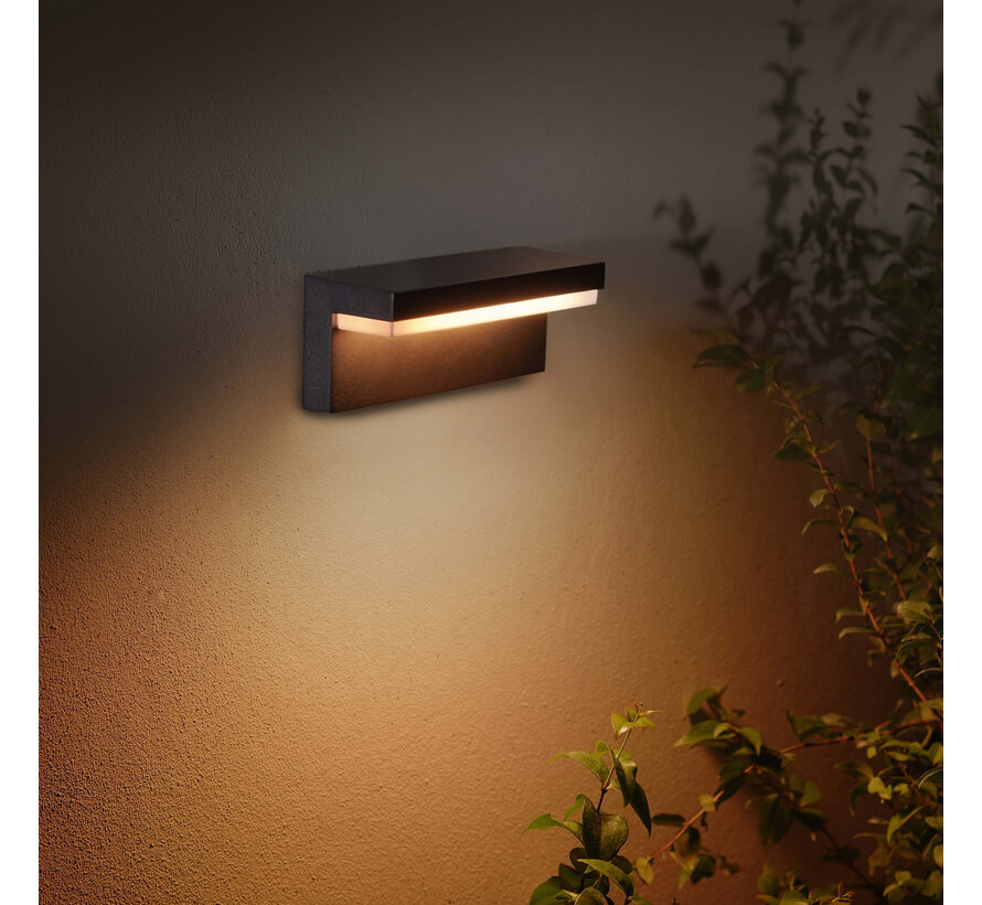 Philips Hue Nyro muurlamp White and Color zwart