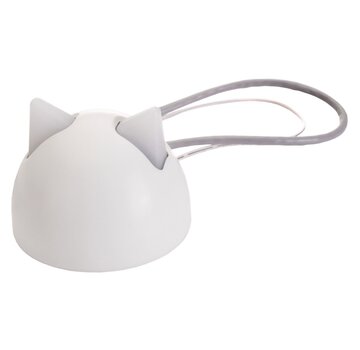 SureFlap Hub Connect Hub