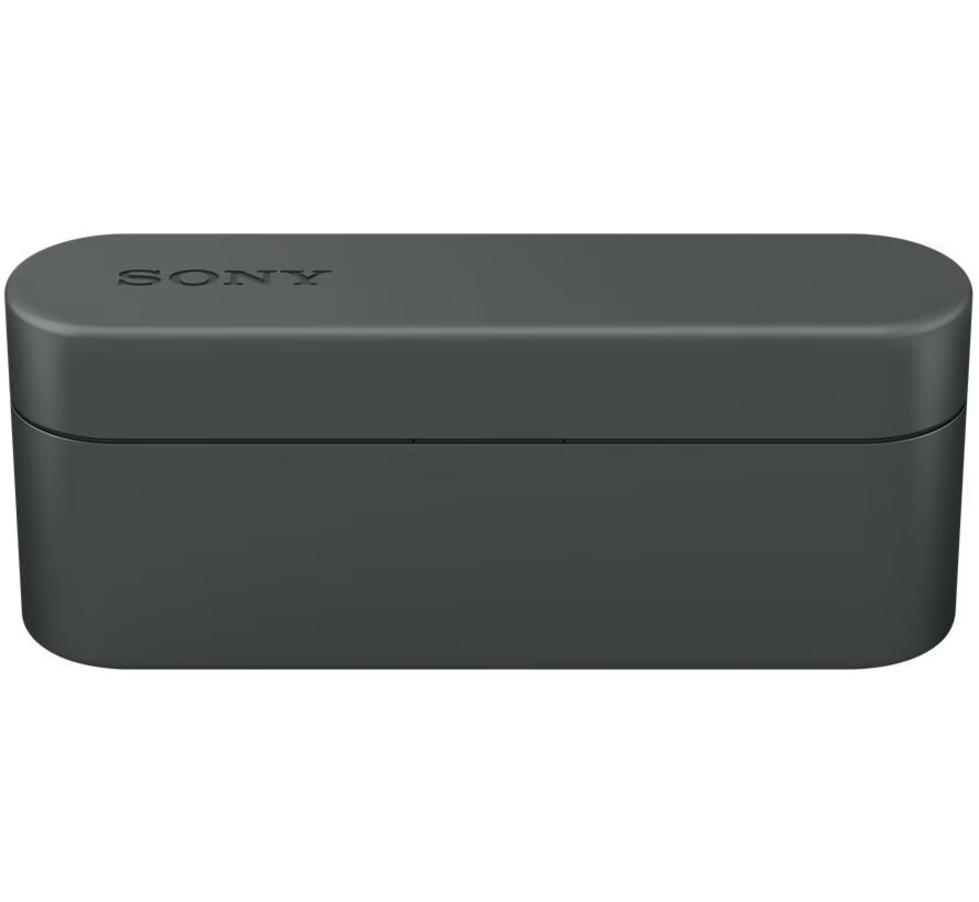 Sony WF-1000X (Zwart)