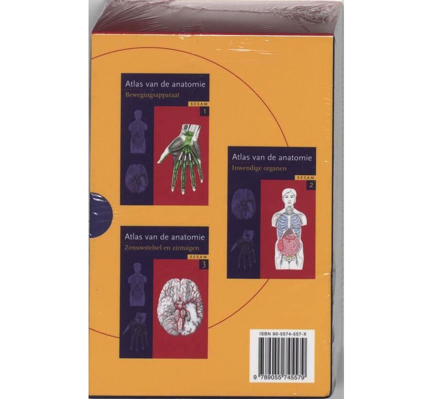 Sesam Atlas Van De Anatomie Set 3 Delen