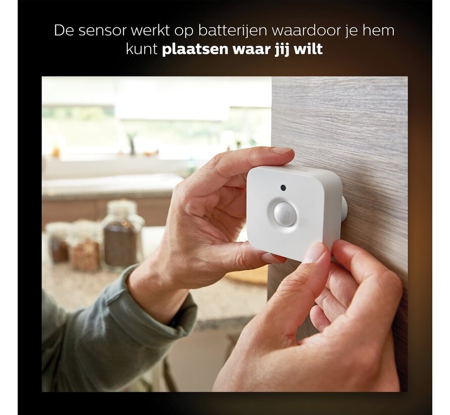Philips Hue Motion Sensor v2