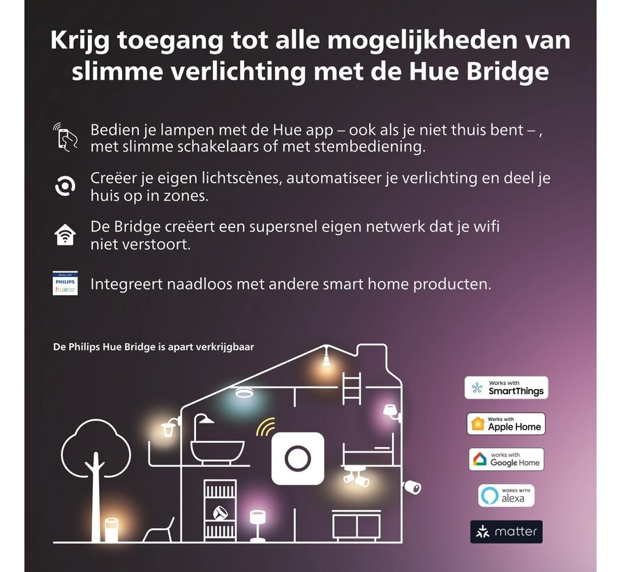 Philips Hue Lightguide globelamp G125 – wit en gekleurd licht – E27
