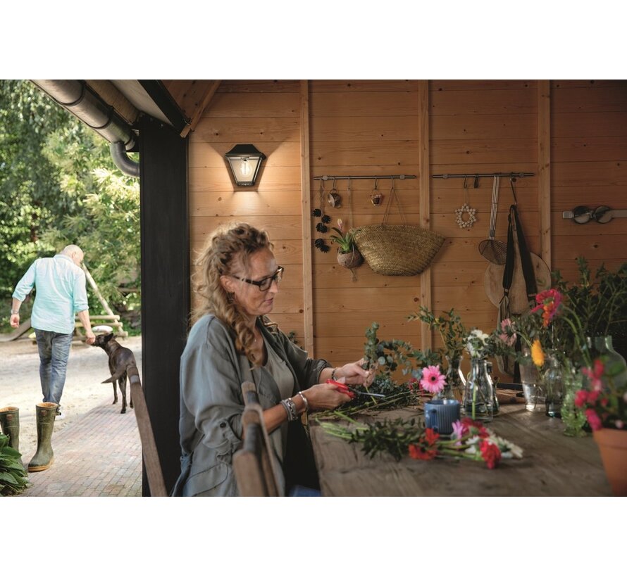 Philips myGarden Alpenglow buitenlamp – zwart (E27, IP44)