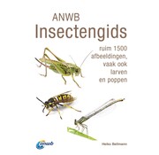 ANWB Insectengids veldgids voor insecten
