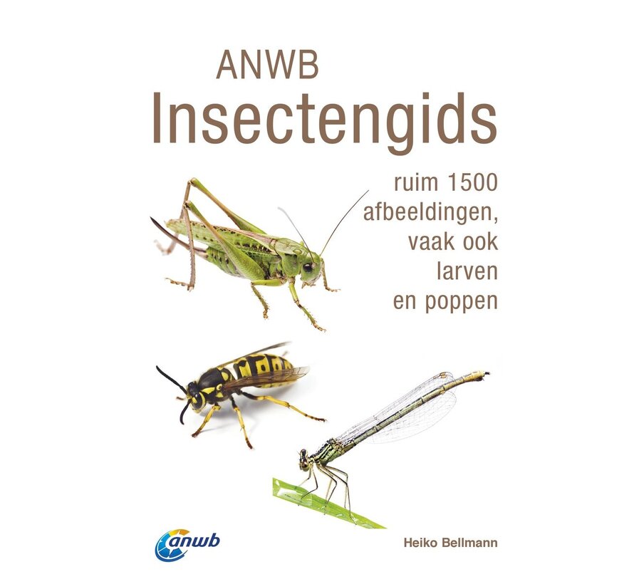 ANWB Insectengids compacte veldgids voor insecten in Nederland en Europa