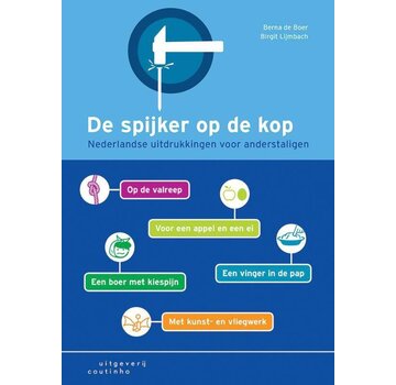 De spijker op de kop