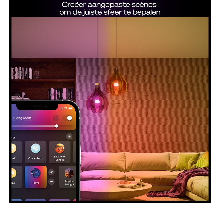 Philips Hue starterkit 2x E27 White and Color Ambiance + Dimmer Switch + Bridge Pro - 1100 lm - Zigbee Bluetooth