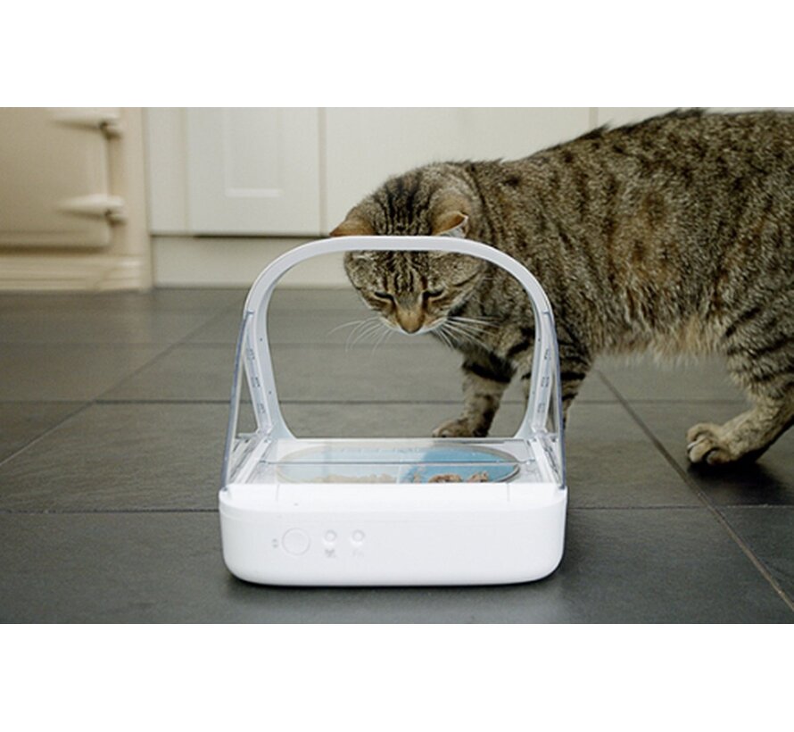 Surefeed Microchip Voerbak