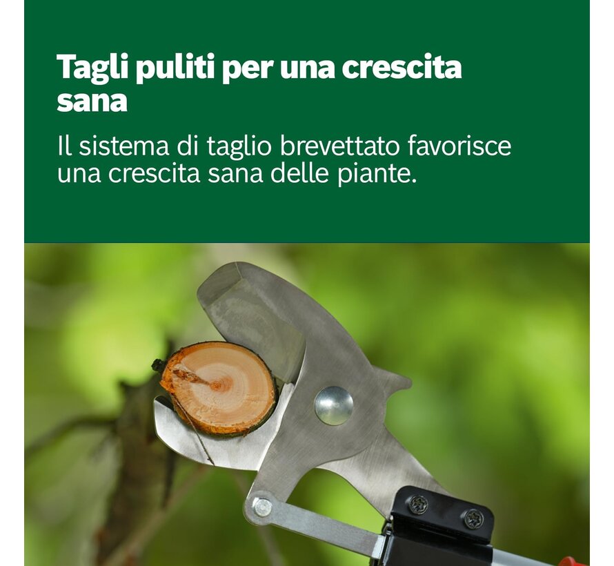 Bosch AdvancedPrune 18V-45 Accusnoeischaar