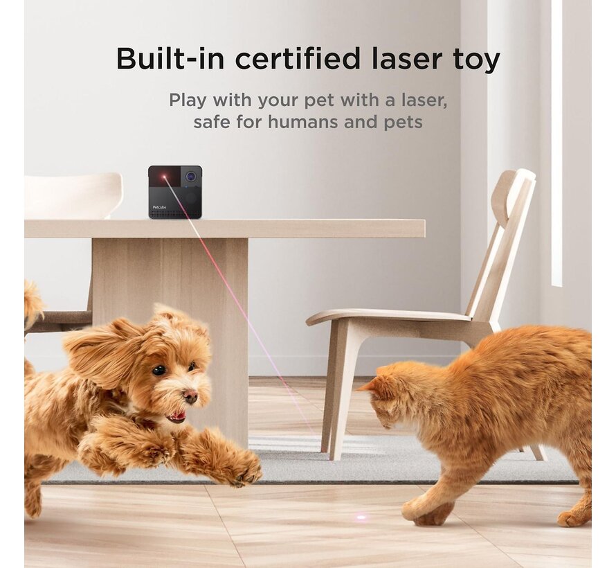 Petcube Play 2 HD Huisdiercamera met Laser