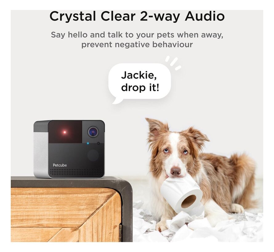 Petcube Play 2 HD Huisdiercamera met Laser