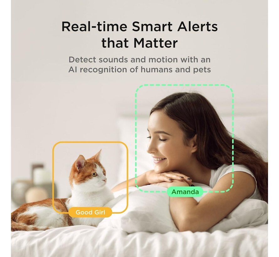 Petcube Play 2 HD Huisdiercamera met Laser