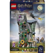 LEGO Harry Potter Het huis van Loena Leeflang