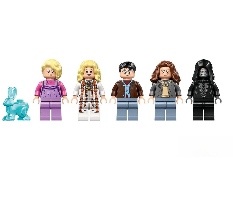 LEGO Harry Potter Het huis van Loena Leeflang