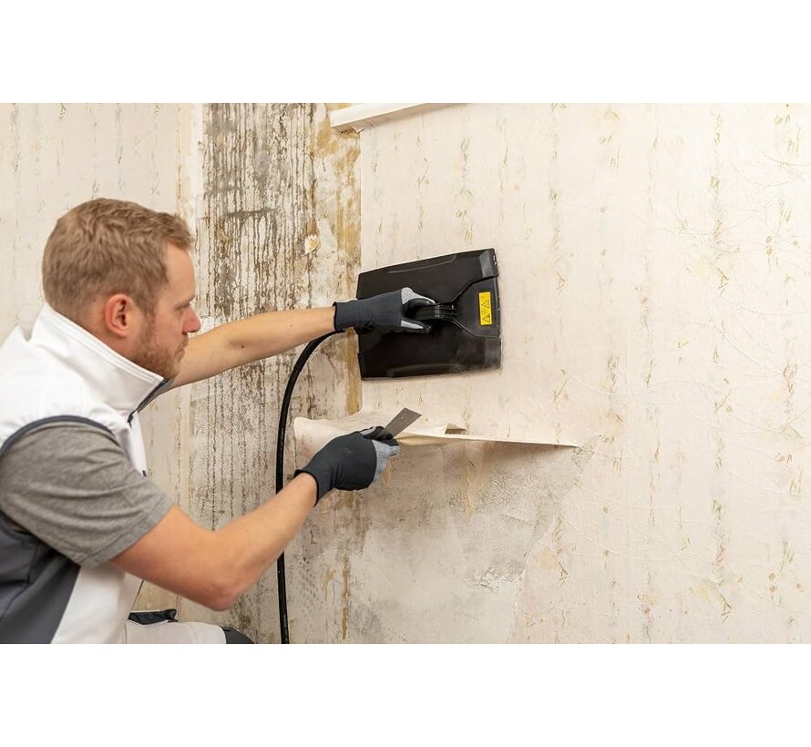 WAGNER SteamForce Speed Pro Behangafstomer 2750W