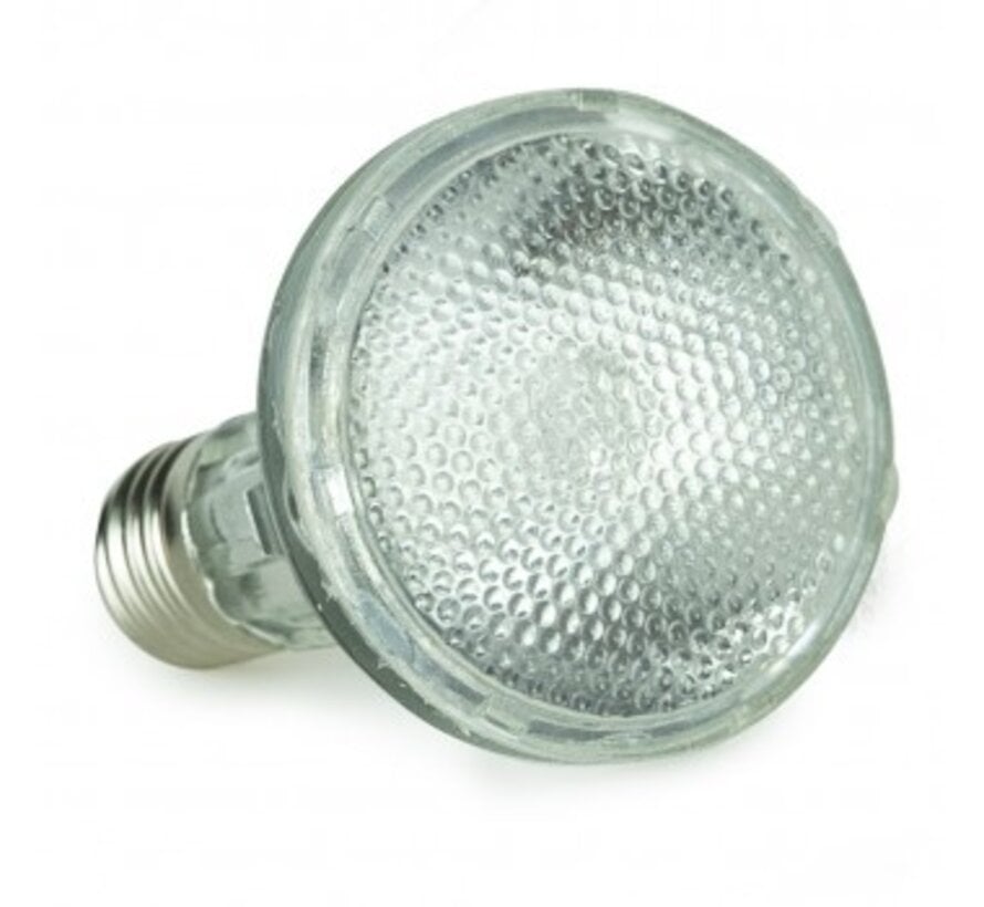 Back Zoo Nature Bird Sun UV-Lamp 35W Losse Vervangingslamp ZF7760