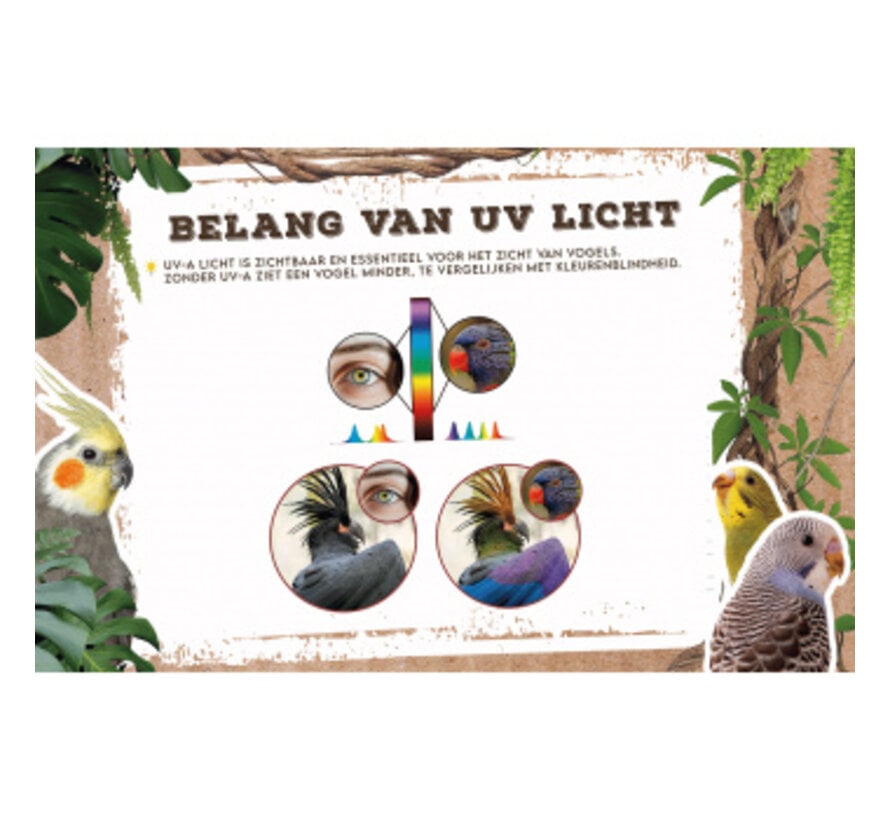 Back Zoo Nature Bird Sun UV-Lamp 35W Losse Vervangingslamp ZF7760
