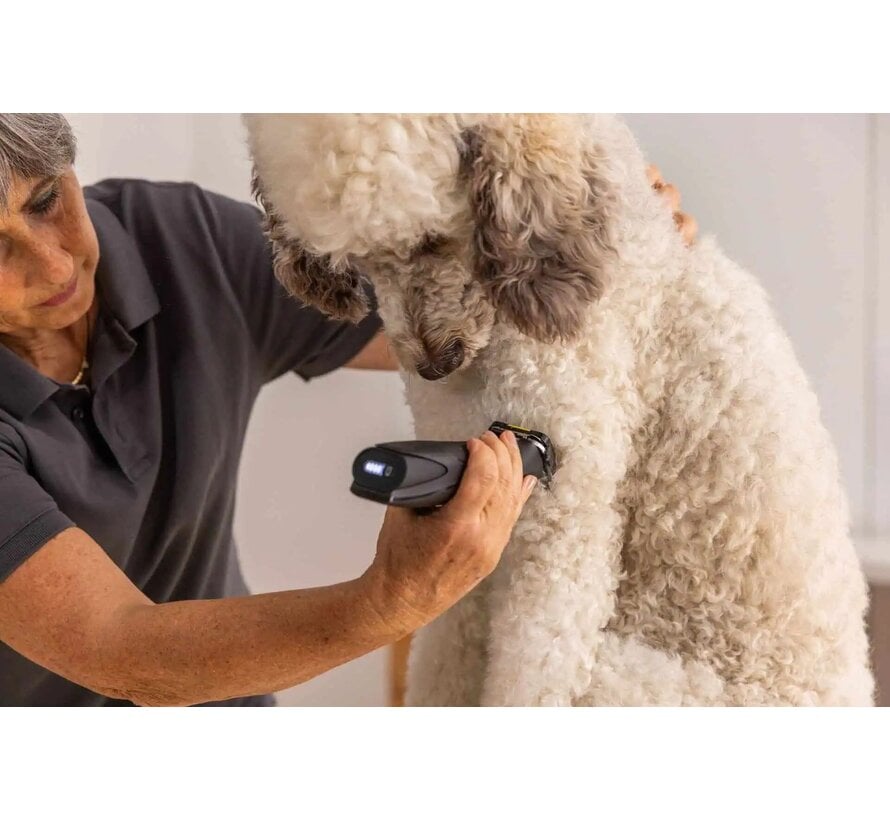 WAHL MaxGo Draadloze Dierentondeuse Zwart 1263-0472