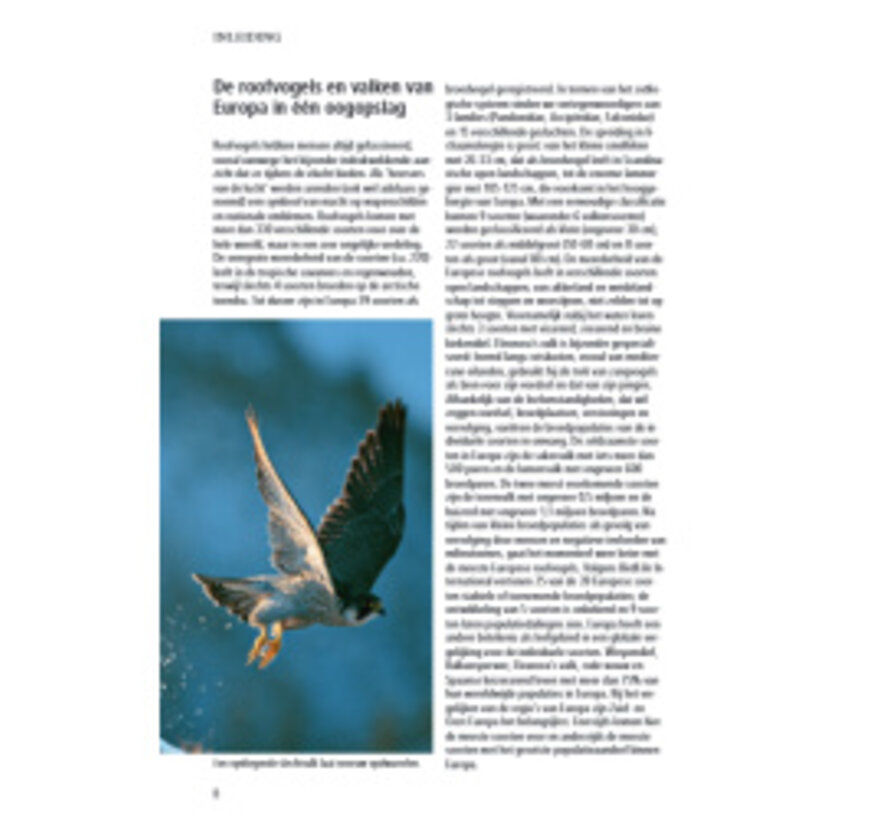 ANWB Roofvogelgids van Europa – 39 Soorten en 300+ Beelden