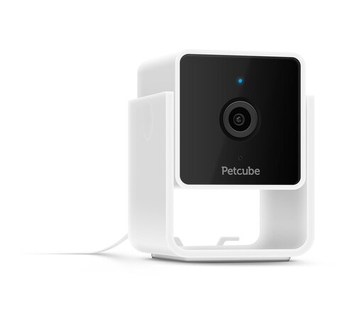 Petcube Cam huisdiercamera 1080p met nachtzicht en tweerichtingsaudio