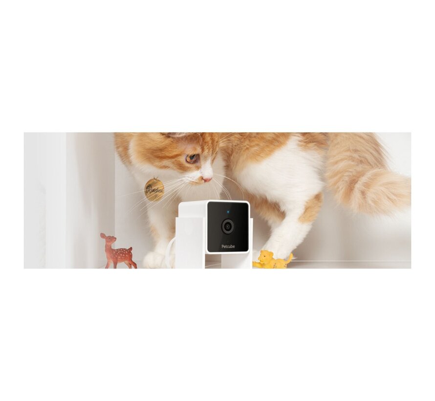 Petcube Cam huisdiercamera 1080p met nachtzicht en tweerichtingsaudio