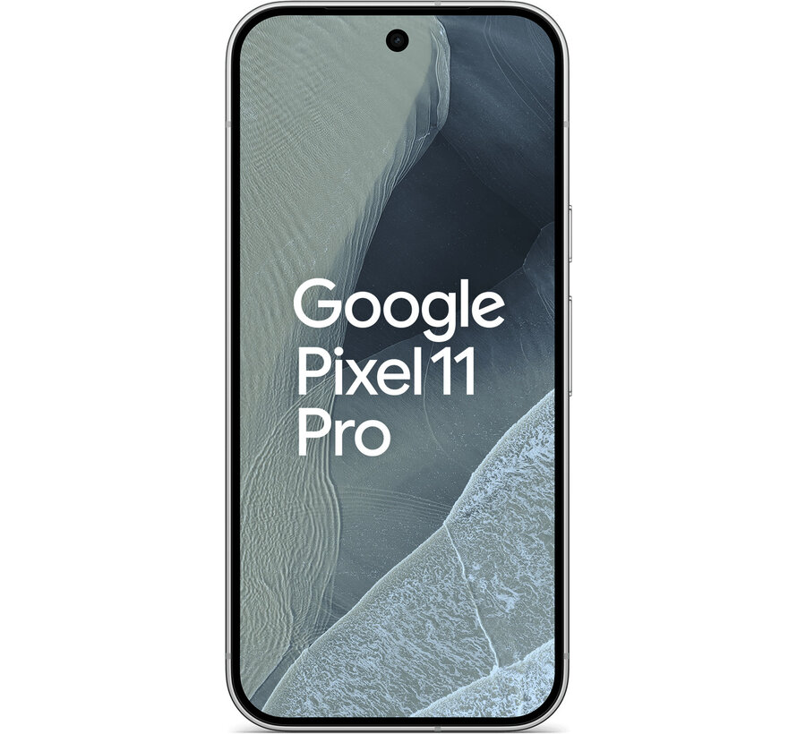 Google Pixel 11 Pro 256GB Fog