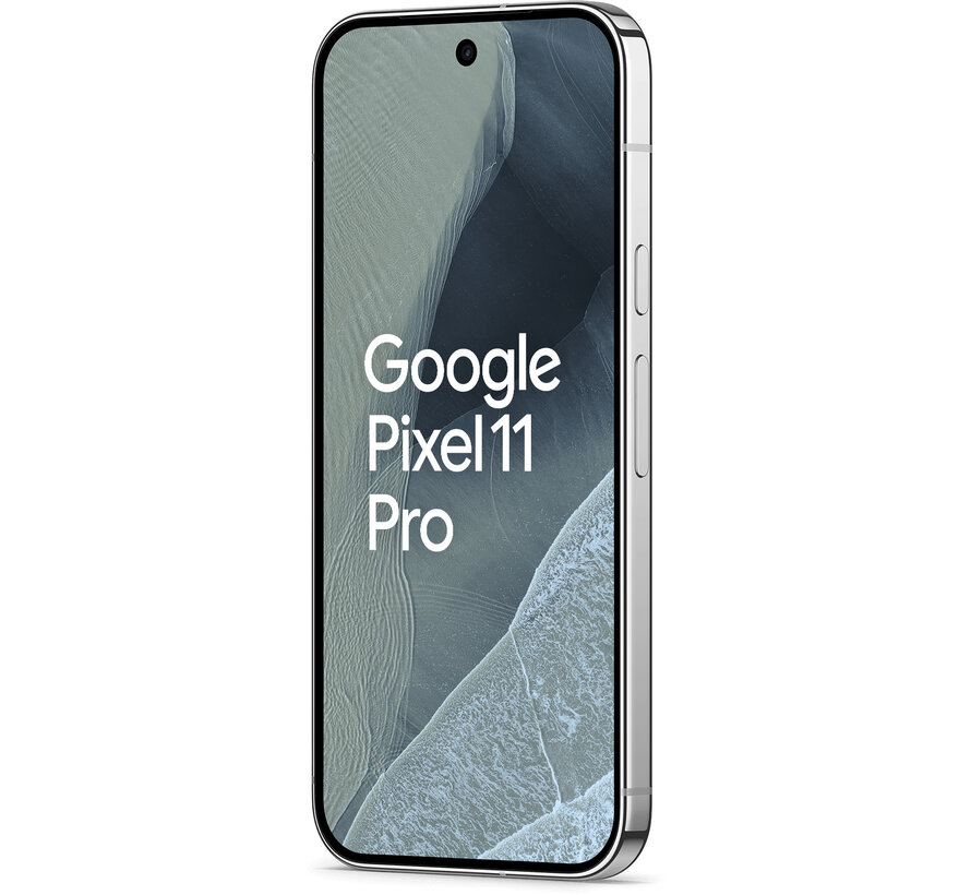 Google Pixel 11 Pro 256GB Fog
