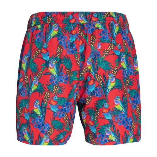 Bjorn Borg Heren Swimshort Sylvester