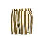 Stripe Breen Swimshort