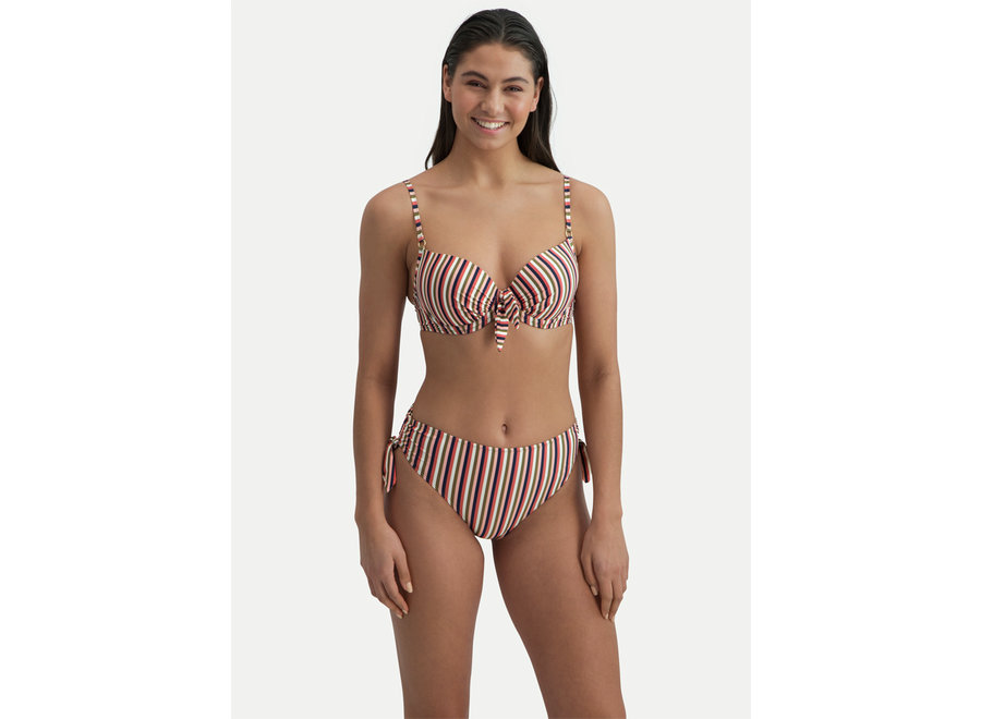 Sassy Stripe Bikini Top C-cup