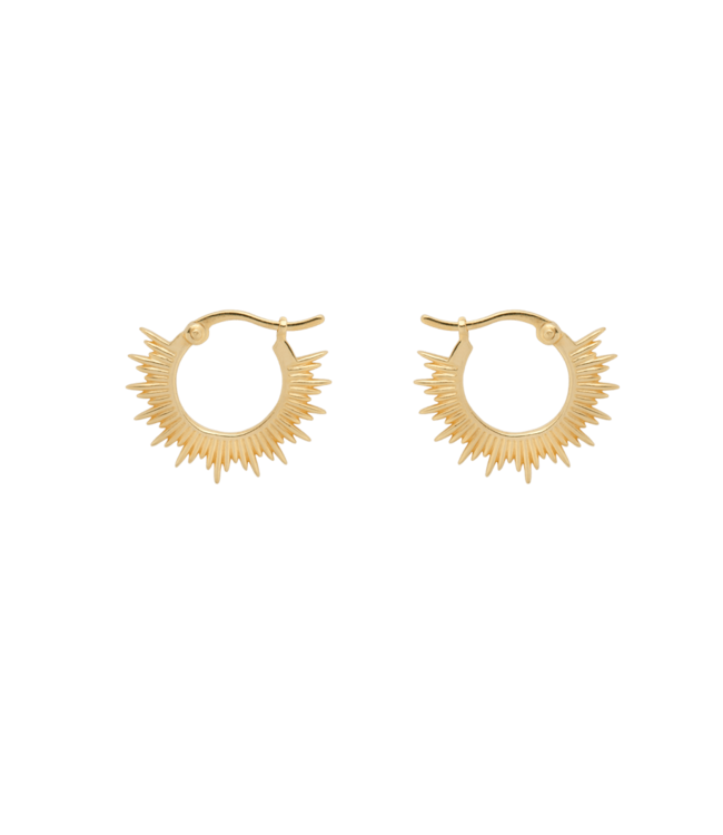 Anna+Nina Oorbellen rising sun rings earring goldplated goud essential