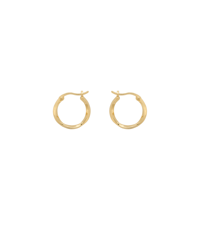 Anna+Nina Oorbellen dazzling ring earrings goldplated goud essential