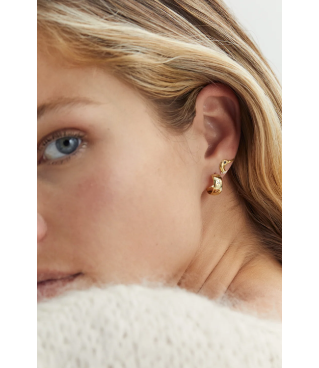 Anna+Nina Oorbel Single Posh Duck Stud Earring Silver Goldplated