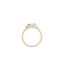 Anna+Nina Ring Dreamy Dive Ring  Brass Goldplated