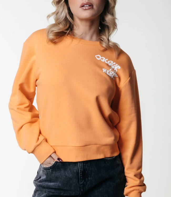 Colourful Rebel Trui Logo Wave Relaxed Sweat Tangerine
