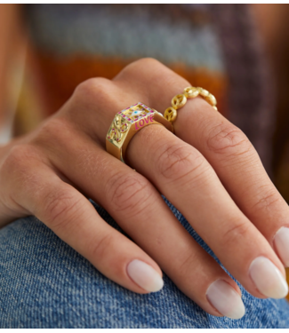 Anna+Nina Ring Alchemy Ring Brass Goldplated Brass Goldplated