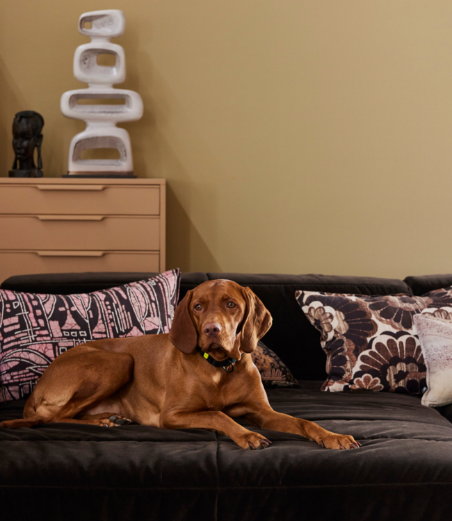 HKLIVING Bank Brut sofa: element left divan, royal velvet, espresso