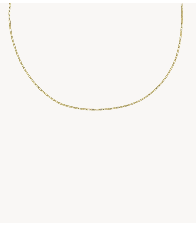 Anna+Nina Ketting Link Plain Necklace Gold Plated essential