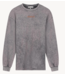 Stieglitz Top Worn Out Skate Longsleeve washed grey